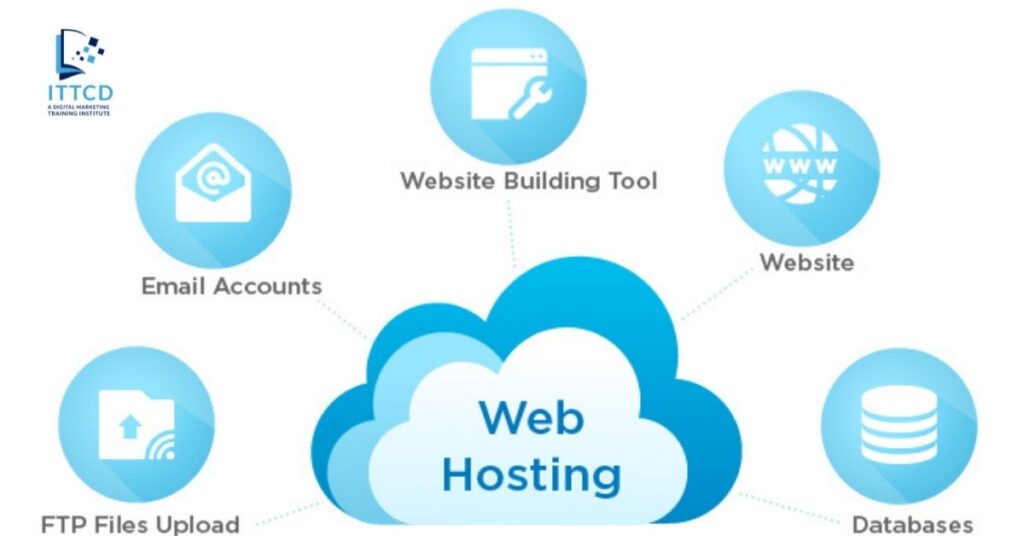 Domain and Web Hosting